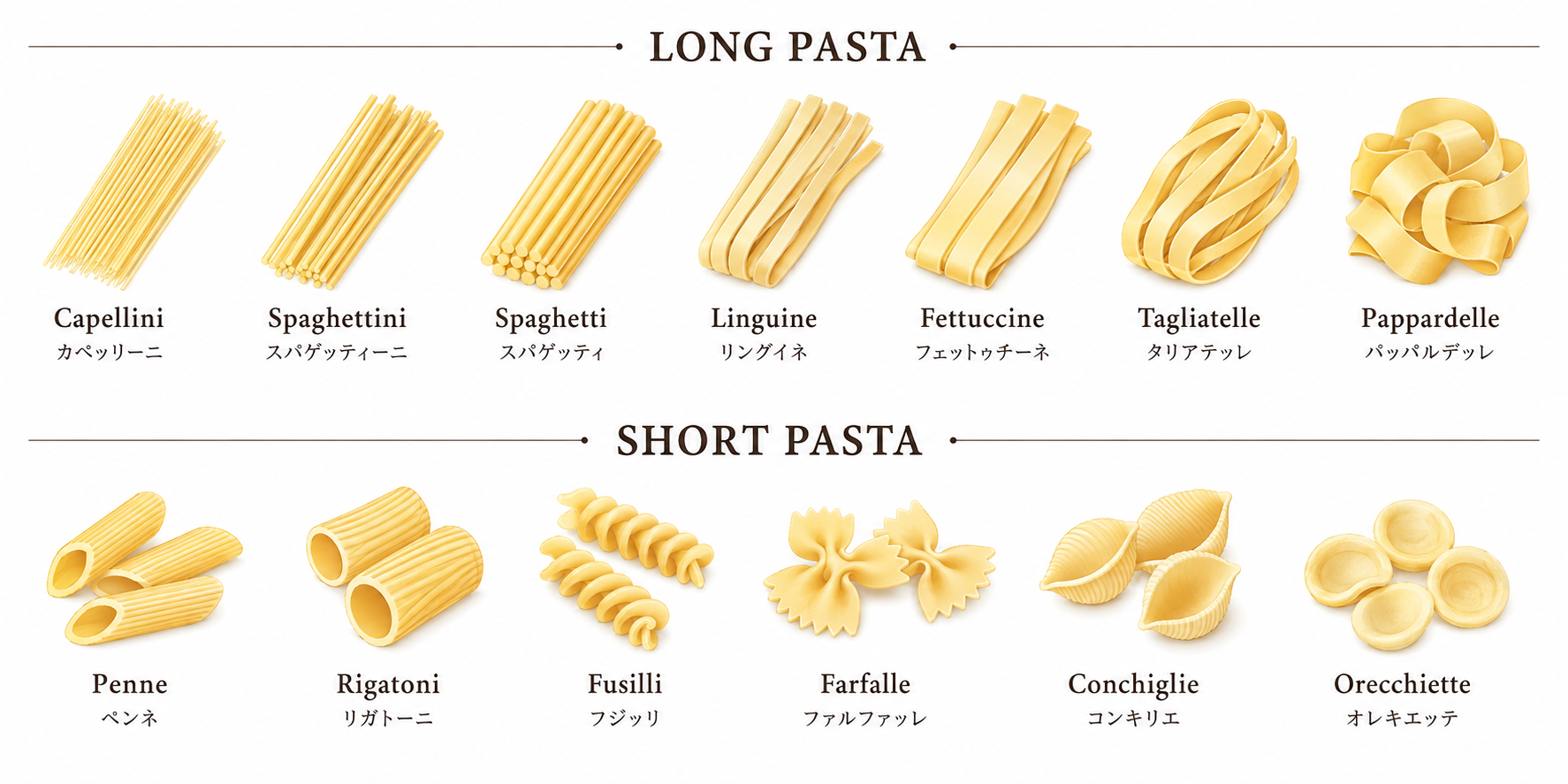 パスタ形状図鑑:ロングパスタとショートパスタの種類一覧